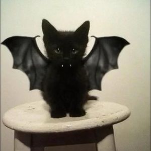 hi my insta is _brynn_ellysse